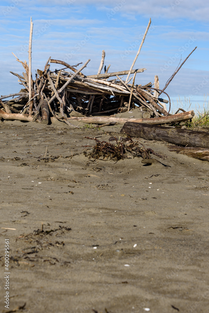 Shelter built out of driftwood on the beach at Damon Point, Ocean Shores Peninsula, Washington State
Shelter built out of driftwood on the beach at Damon Point, Ocean Shores Peninsula, Washington State