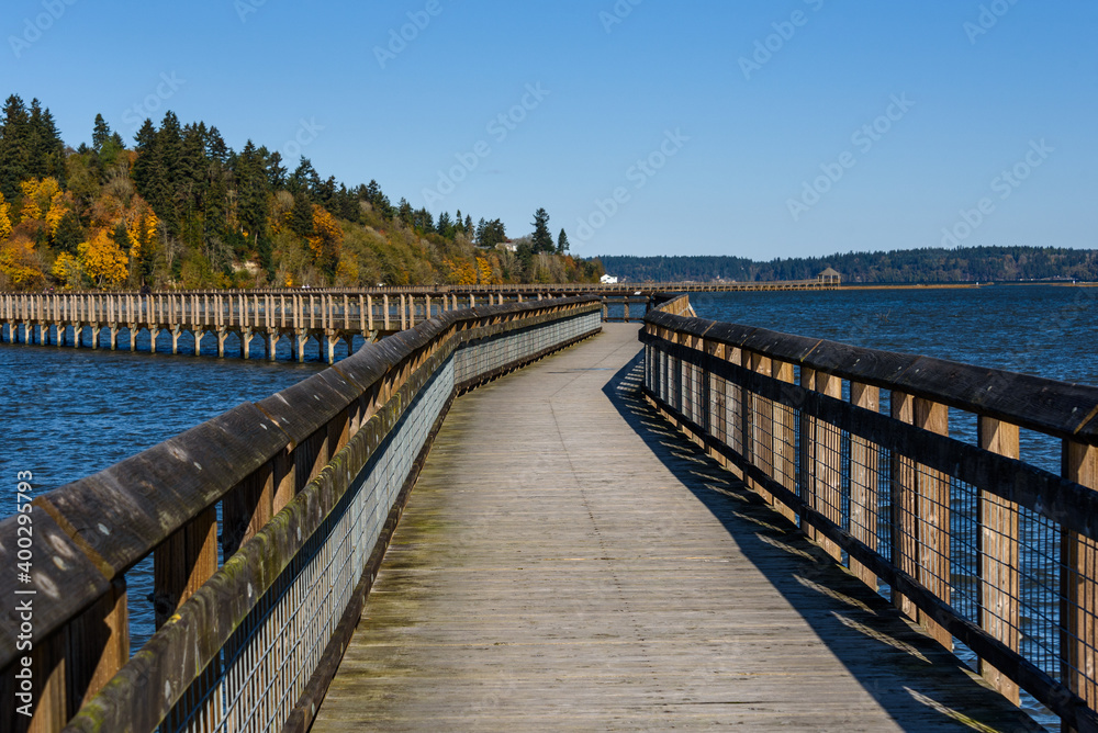 
Nisqually Estuary Boardwalk Trail on a sunny fall day, Nisqually National Wildlife Refuge, Washington State
