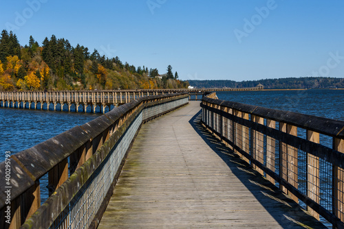  Nisqually Estuary Boardwalk Trail on a sunny fall day  Nisqually National Wildlife Refuge  Washington State 