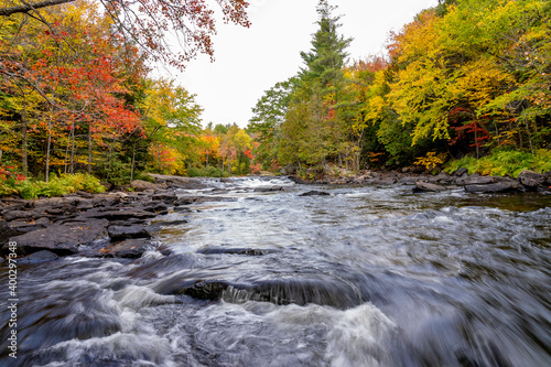 Fall colours at Oxtongue river in Algonquin Provincial Park. Algonquin Provincial Park is in southeastern Ontario, Canada.