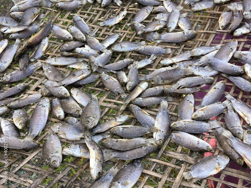 dry anabas testudineus fish on bamboo floor photo