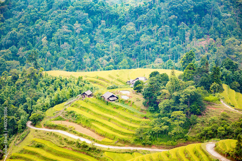 Beautiful view of Rice terrace and houses at Hoang Su Phi. Viewpoint in Hoang Su Phi   Ha Giang province  Vietnam