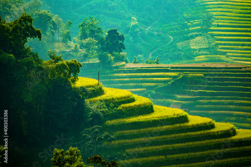 Green Terraced Rice Field in Hoang Su Phi. Viewpoint in Hoang Su Phi district, Ha Giang province, Vietnam photo