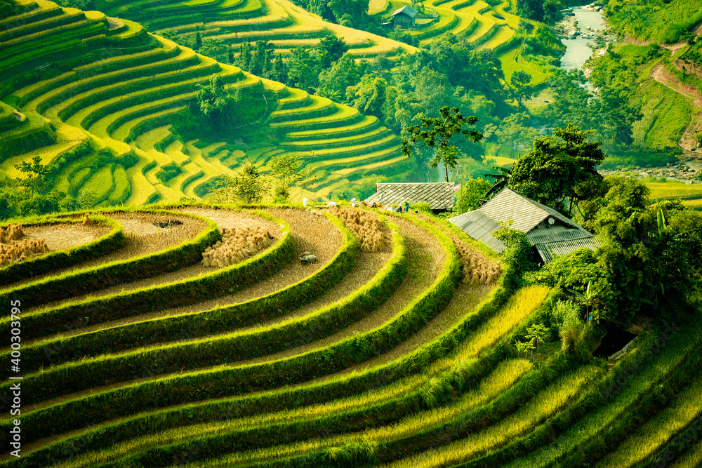 Beautiful view of Rice terrace at Hoang Su Phi. Viewpoint in Hoang Su Phi district, Ha Giang province, Vietnam