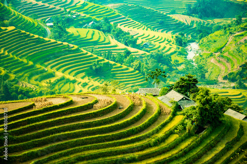 Beautiful view of Rice terrace at Hoang Su Phi. Viewpoint in Hoang Su Phi district  Ha Giang province  Vietnam