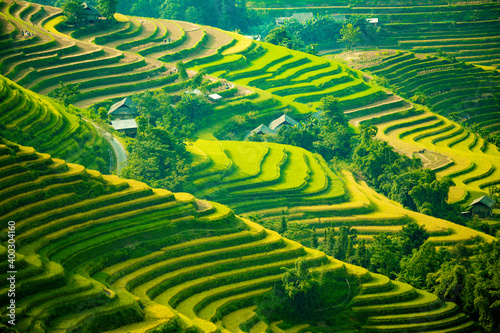 Beautiful scenery of rice terraces in Hoang Su Phi, Ha Giang province in Vietnam. Rice fields ripe in the highlands in the northwest