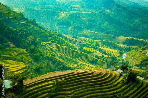 Beautiful scenery of rice terraces in Hoang Su Phi, Ha Giang province in Vietnam. Rice fields ripe in the highlands in the northwest