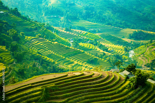 Beautiful scenery of rice terraces in Hoang Su Phi, Ha Giang province in Vietnam. Rice fields ripe in the highlands in the northwest