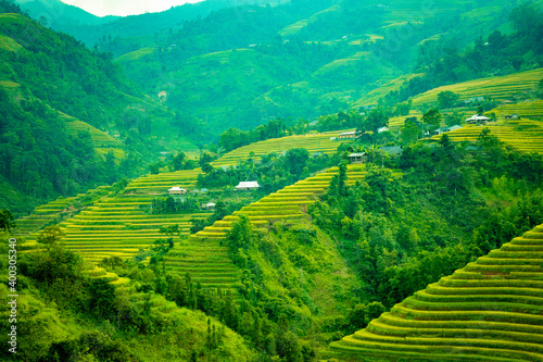 Beautiful scenery of rice terraces in Hoang Su Phi, Ha Giang province in Vietnam. Rice fields ripe in the highlands in the northwest