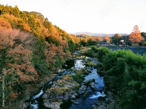 夕焼けに光る紅葉