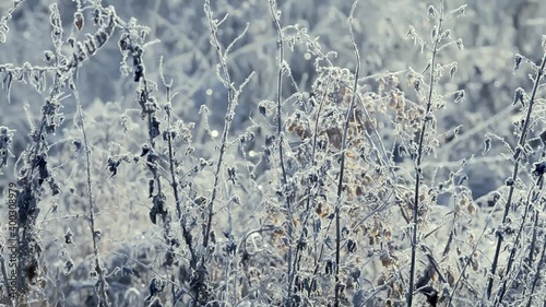 A close-up shot of frozen grass on a field covered with frost and snow and illuminated by the sun in the early frosty morning. There is a frosty haze in the air.