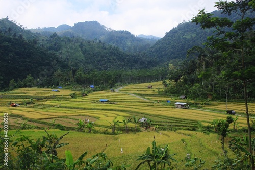 This photo is a photo of the natural scenery of rice fields in the mountains. photo