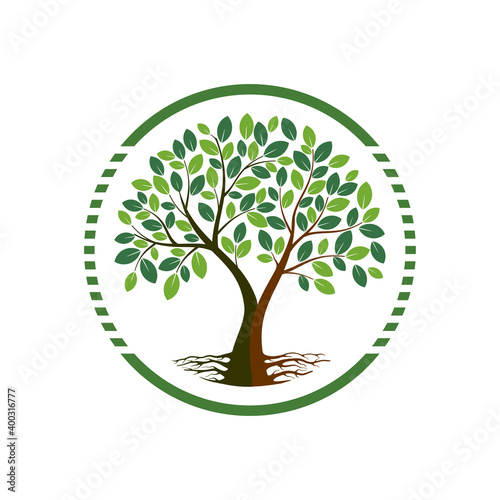 tree logo with circular shape vector isolated