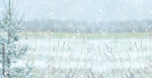 Snow covered frosty grass in winter  © scharfsinn86