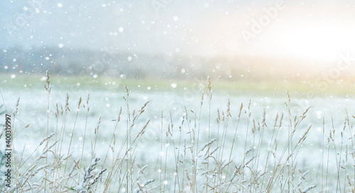 Snow covered frosty grass in winter  © scharfsinn86