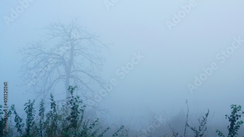 Early winter misty morning fog.