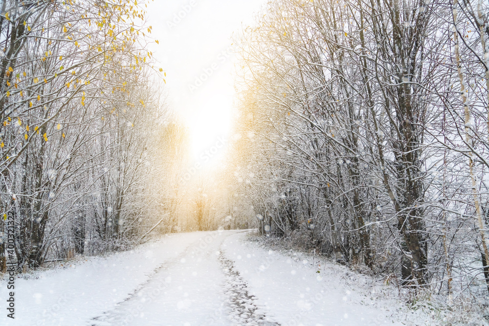 Winter road through the forest Winter road through the forest
