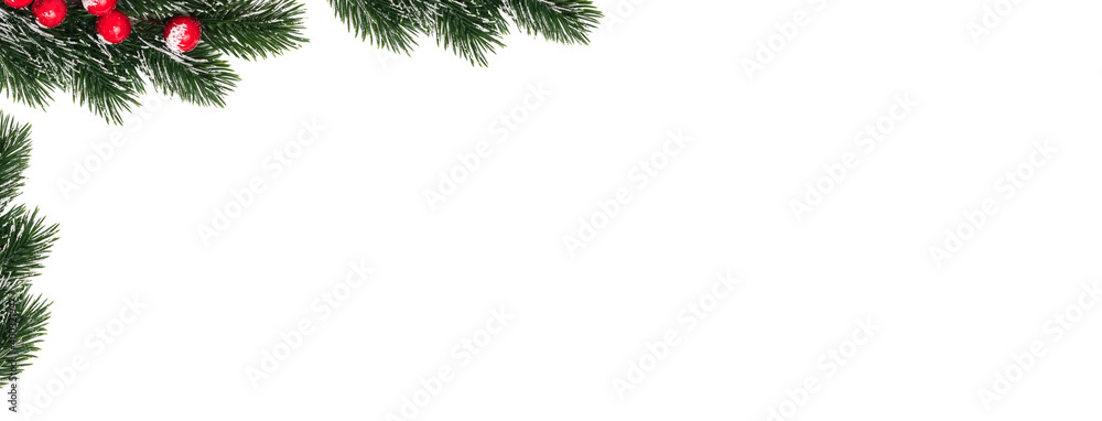Decorative Christmas snowy frosty fir twigs with red berries in the corner of banner. Isolated on white background. Banner size. Winter holiday decoration and card concept Decorative Christmas snowy frosty fir twigs with red berries in the corner of banner. Isolated on white background. Banner size. Winter holiday decoration and card concept