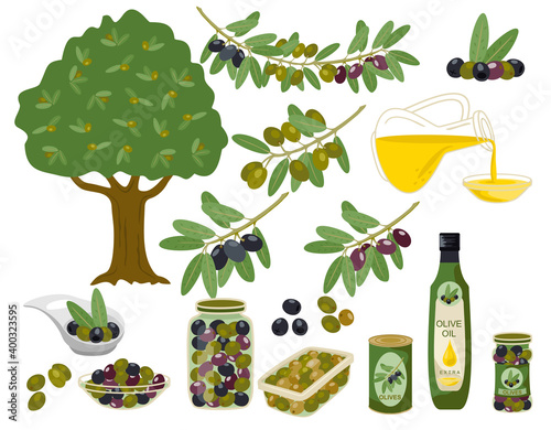 Olive products collection. Olive oil, branches, bottles illustration. Olive oil capacity bottle and canned olive. Vector illustration.