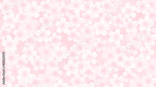 やさしいイメージの満開の桜