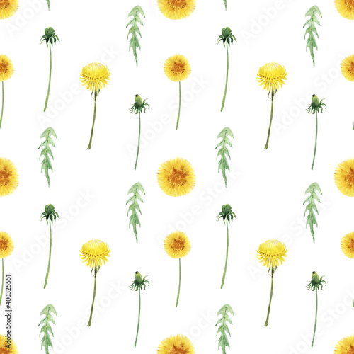 Watercolor seamless pattern with stylized buds, flowers and leaves of the Dandelion plant
