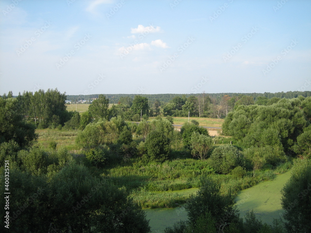 Panoramic view of the forest and field. Copses are scattered between the glades.The straight line of the horizon.