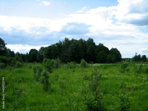 Panoramic view of the forest and field. Copses are scattered between the glades.The straight line of the horizon.