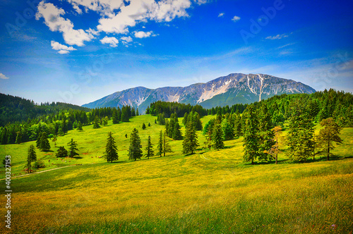 Mamauwiese mit Blick zum Schneeberg, Niederösterreich