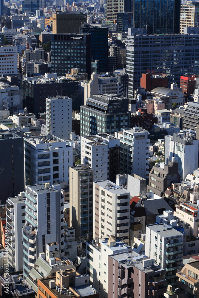 Fototapeta premium 御茶ノ水の高層ビル群