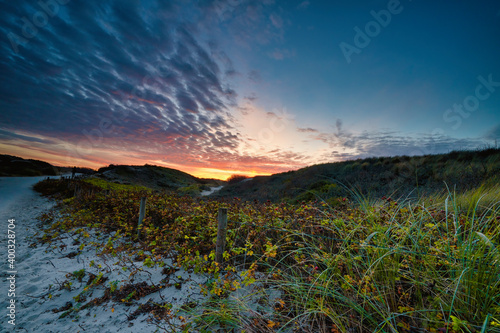 Beautiful blue and orange colors of the sun setting behind a dune, during sunset. Grass in foreground