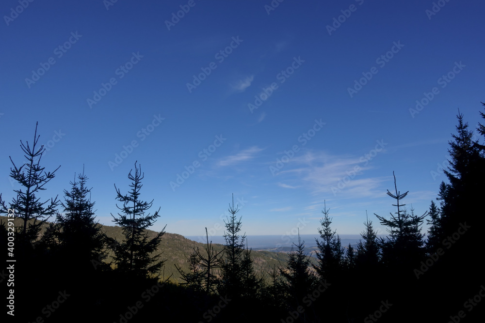 dark pinetrees in the foreground and wide landscape in the mountain range