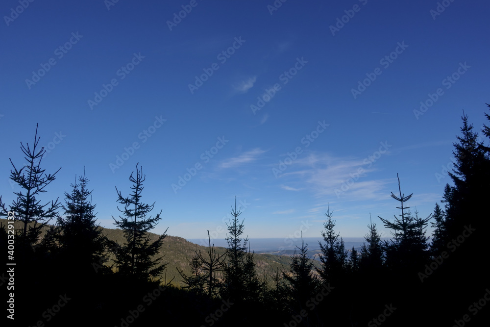 dark pinetrees in the foreground and wide landscape in the mountain range dark pinetrees in the foreground and wide landscape in the mountain range