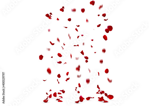 the petals of a red rose fall to the floor against a background of blurred petals in motion