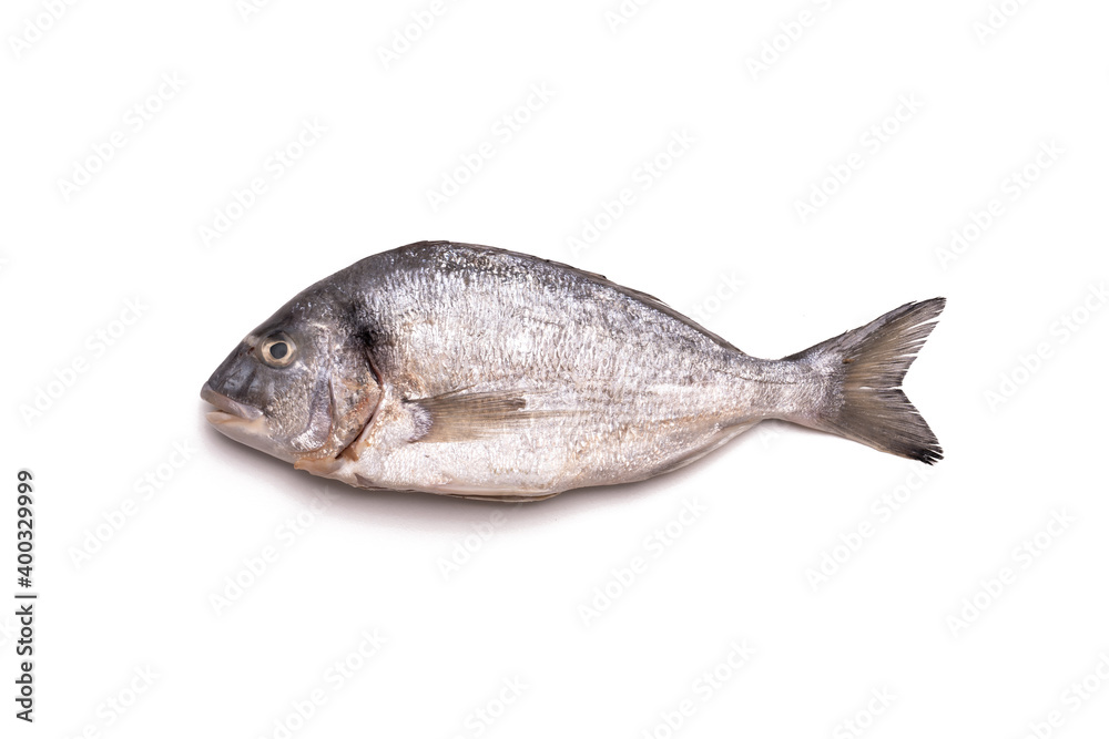 fresh fish. sea bream on white background fresh fish. sea bream on white background