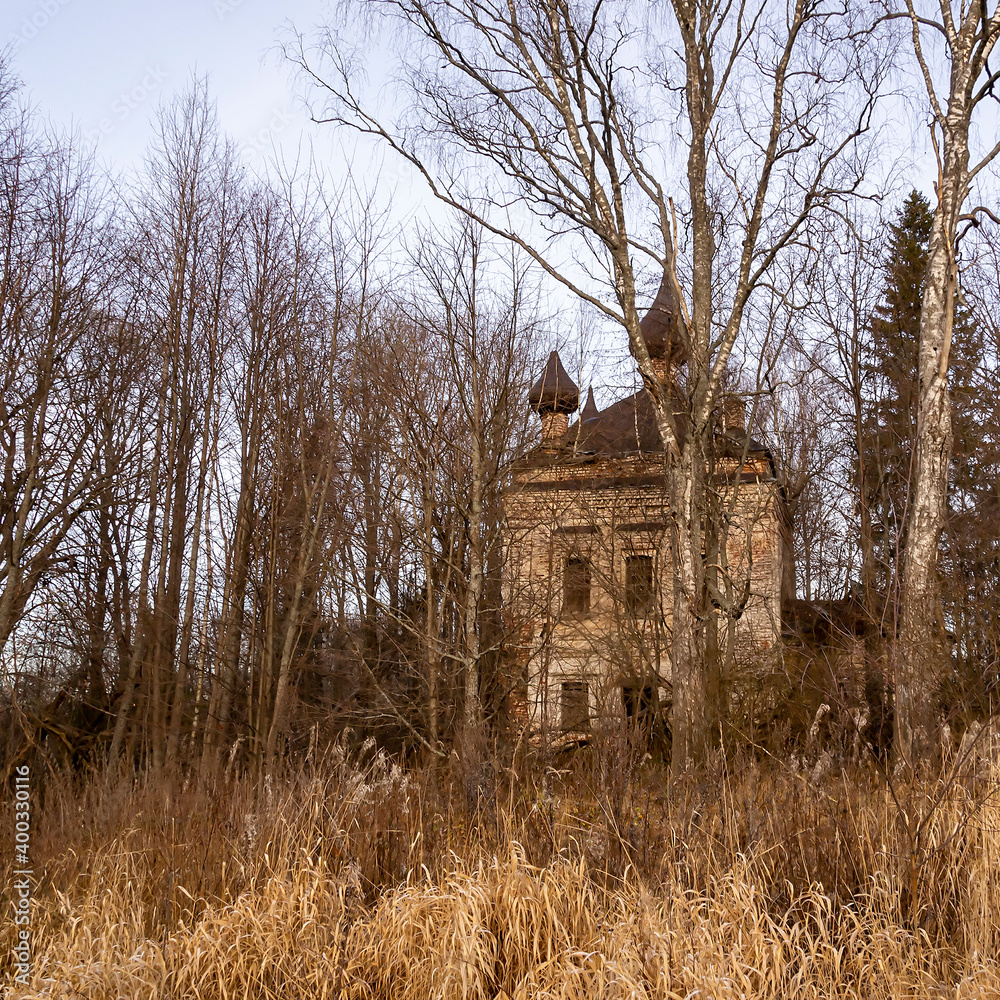abandoned temple among the trees