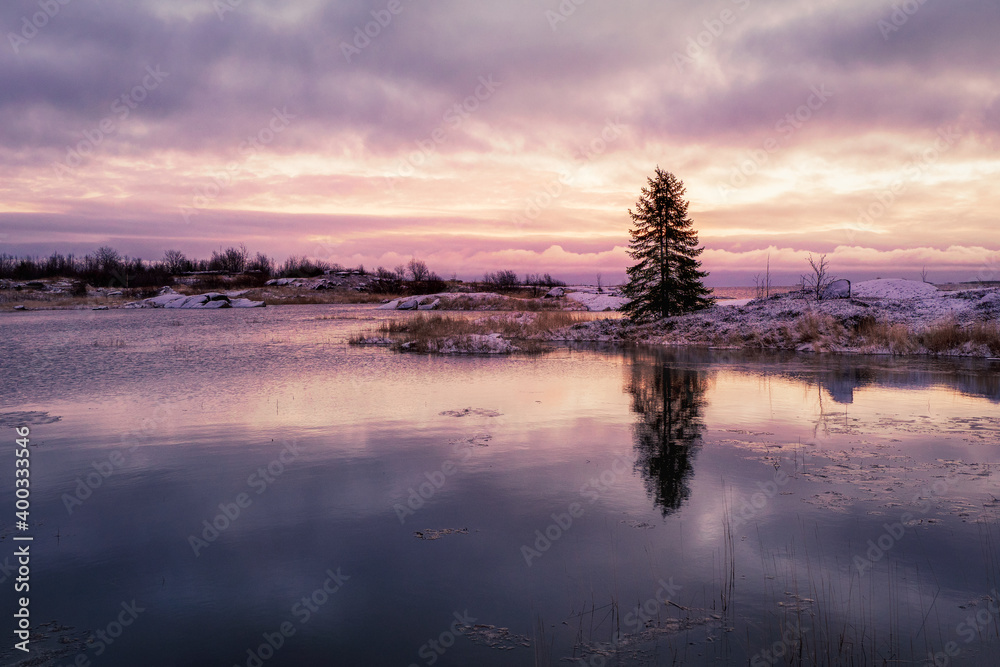 Fototapeta premium A magical purple sunset with a lonely Christmas tree on an island with a reflection in the water.
