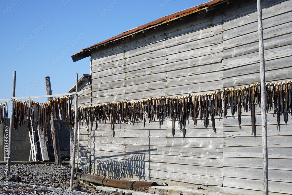 Raw Dried Kombu Kelp Seaweed and fisherman's hut in Rishiri Island, Hokkaido, Japan	- 昆布 日干し 北海道 利尻島 日本