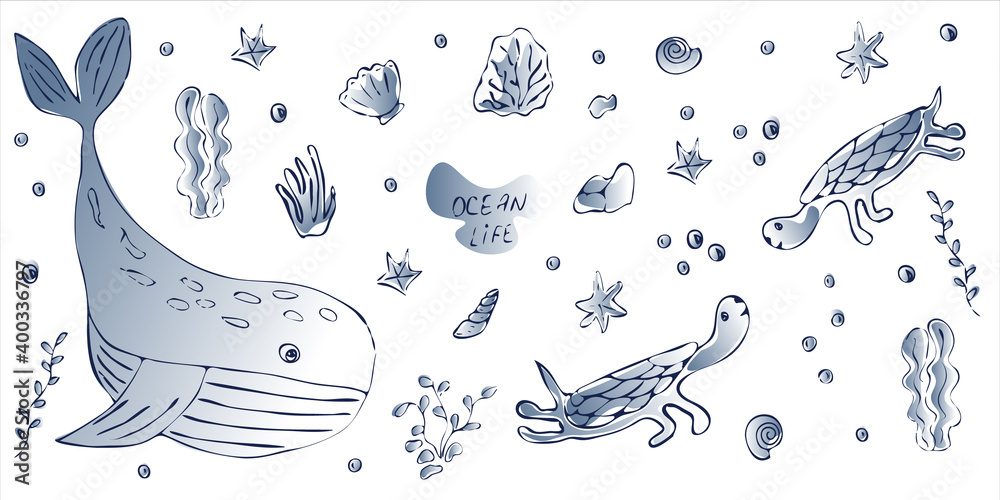 set of isolated cute whales, turtles and seaweed. hand-drawn in watercolor style. vector illustration, eps set of isolated cute whales, turtles and seaweed. hand-drawn in watercolor style. vector illustration, eps