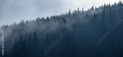 Magical forest with morning sun piercing through fog - dreamy, misty landscape photo
