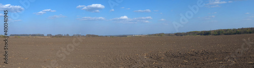 Cultivated field panorama
