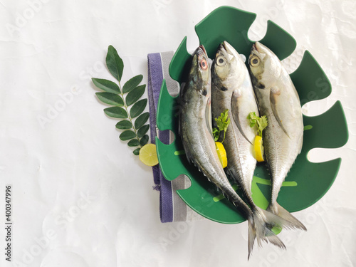 Close up view of fresh Finletted Mackerel Fish or Torpedo Scad Fish decorated in a green bowl with herbs.White background,Selective focus. photo