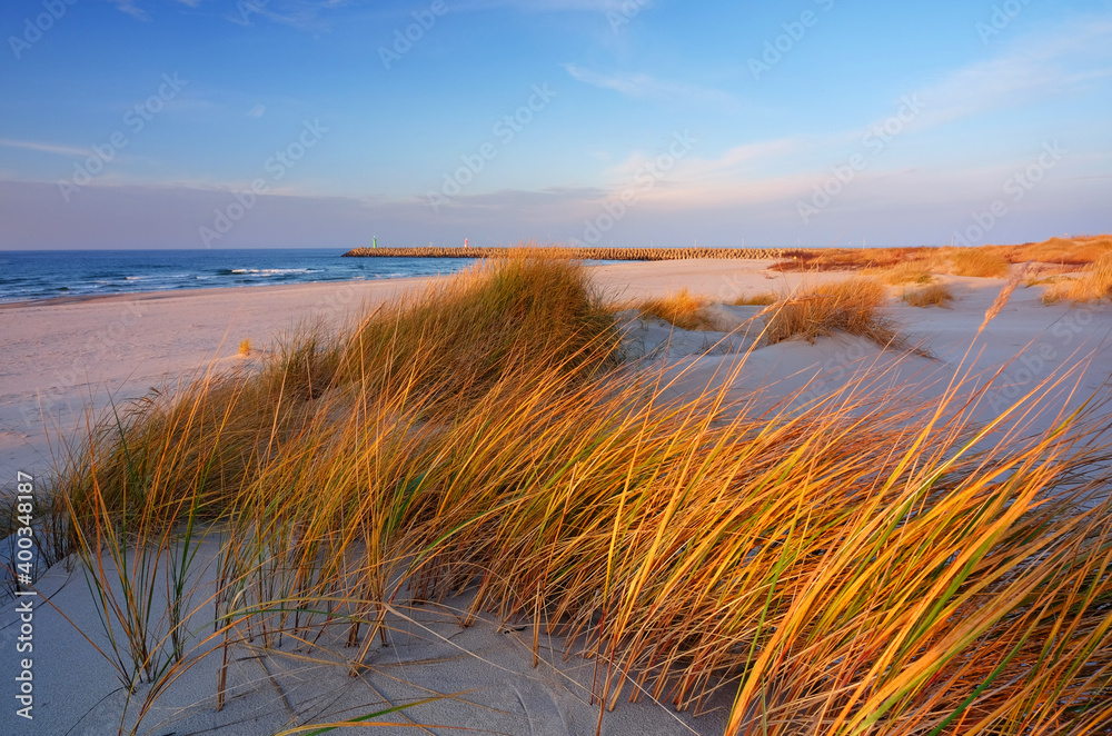 Wydmy na wybrzeżu Morza Bałtyckiego,plaża, trawa,biały piasek,Kołobrzeg,Polska.