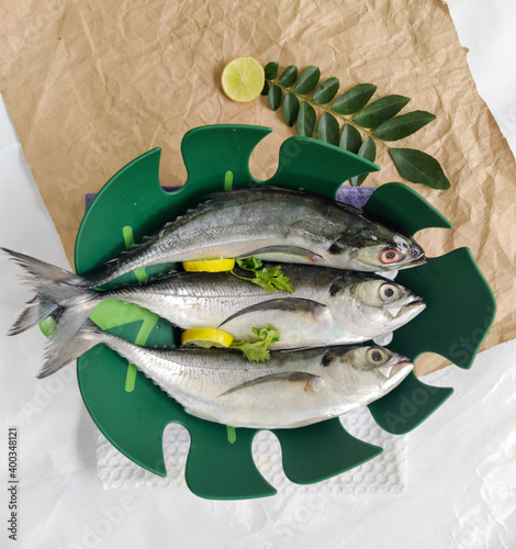 Close up view of fresh Finletted Mackerel Fish or Torpedo Scad Fish decorated in a green bowl with herbs.White background,Selective focus. photo