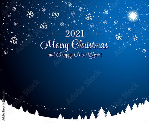 Christmas snowy nights background. Dark blue starry sky with Christmas star and snowflakes over snowy Christmas trees. Vector