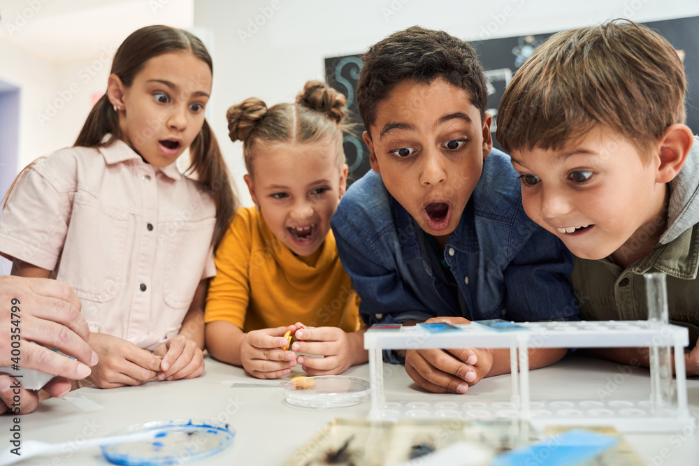 Shocked children with surprised and delighted emotions Stock Photo ...