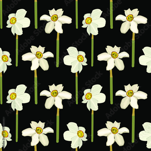 Fototapeta Naklejka Na Ścianę i Meble -  Narcis flowers seamless pattern, black background. Vector stock illustration eps10.