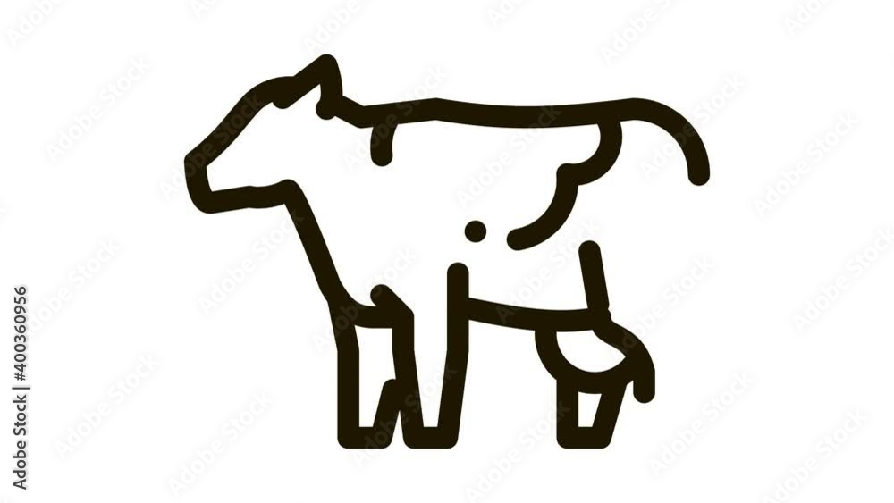 milch cow Icon Animation. black milch cow animated icon on white background milch cow Icon Animation. black milch cow animated icon on white background