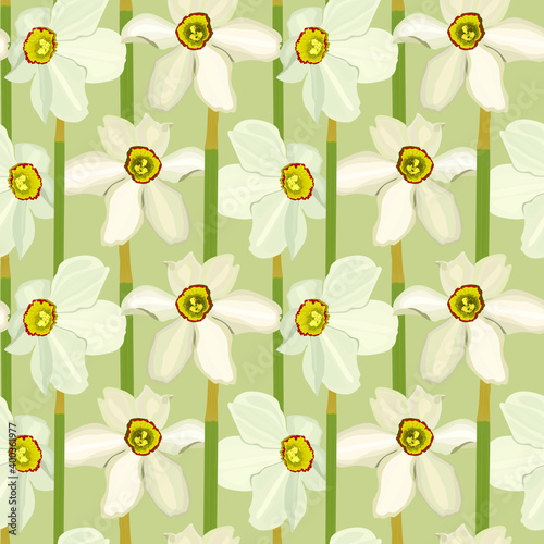Narcis flowers seamless pattern, black background. Vector stock illustration eps10.