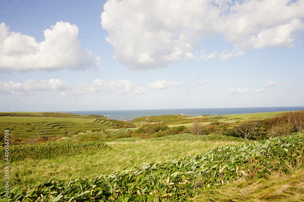 宗谷丘陵 北海道 稚内市 日本 - Green grass swaying in the wind at Soya Hills in Hokkaido, Japan 宗谷丘陵 北海道 稚内市 日本 - Green grass swaying in the wind at Soya Hills in Hokkaido, Japan