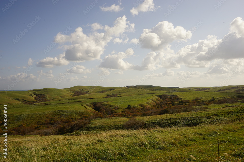 宗谷丘陵 北海道 稚内市 日本 - Green grass swaying in the wind at Soya Hills in Hokkaido, Japan	